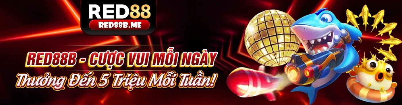 Hình ảnh chính về cá cược thể thao nbet88 app